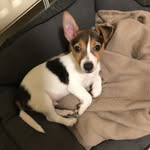 Susan greig - @greig7889 - Instagram