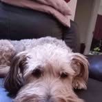 Susan Gresh - Facebook