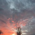 Susan Grice - @susieq051961 - Instagram