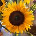 Susan Grider - Facebook