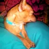 Susan Grigsby83  Susan - @susangrigsby835 - TikTok