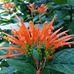 Susan Grigsby - Facebook