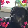 susangrigsby16 - @susangrigsby16 - TikTok