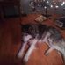 Susan Grindle - Facebook