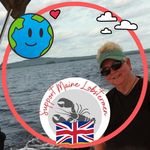 Susan Grindle - @susangrindle - Instagram