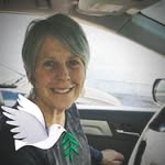Susan Gumpel Wilson - @susan.gumpel.wilson - Instagram