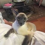 Susan Guy - @plettinck123 - Instagram