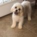 Susan Hack - Facebook