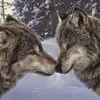 susanhackbarth - @susanhackbarth - TikTok