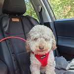 Susan Haefner - @susan.haefner - Instagram