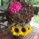 Susanne Haefner - @susanne.haefner - Instagram