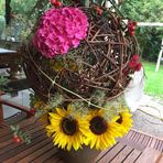 Susanne Haefner - Facebook