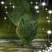 Susan Haga - Facebook