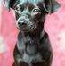 Susan Hailey - Facebook