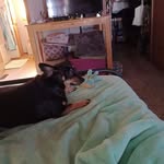 Susan Knowles Halma - @susanhalma - Instagram
