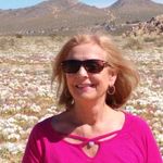 Susan Halstead - @susan.halstead.583 - Instagram