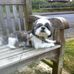 Susan Halstead - Facebook