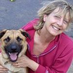 Susan Halstead DiBartolo - @susanhalsteaddibartolo - Instagram