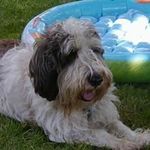 Susan Hammack Bias - @biassusan - Instagram