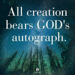Susan Vaughan Hammack - @susanhammack - Instagram