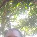 Suzan Hanan - Facebook