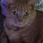 Susan Handy - @susan.handy.56 - Instagram
