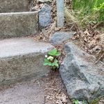 Susan Heyliger Handy - @susan.handy - Instagram