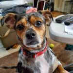 Susan Hanger - @hanger8158 - Instagram