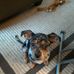 Susan Hanger - Facebook