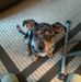 Susan Hanger - Facebook