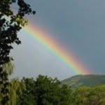 Susan Heesch Logan Harbison - @sharbison54 - Instagram