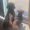 susanharbisonkuen - @susanharbisonkuen - TikTok