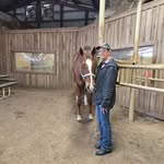 Susan Harleman - @harlemansusan - Instagram