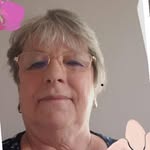 Susan Harleman - @susanharleman - Instagram