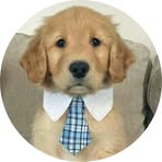 Susan Hatchell - Facebook