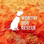Susan Hatchell Averitt - @susanaveritt - Instagram