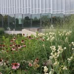 SusanHatchellLandscapeArch - @sh_landscapearchitecture - Instagram