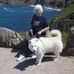 Sue Havers - Facebook