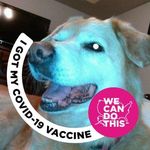 Susan Headley - @susan.headley.169 - Instagram