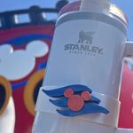 Susan Headley - @stanleytumbler_marketplac - Instagram