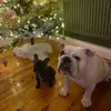 Susan Healey471 - @susanhealey471 - TikTok