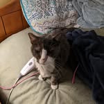 Susan Heaney - @suzhea2024 - Instagram