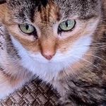 Susan Hecker - @hecker_susan - Instagram