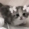 SusannHecker - @burnihkuvlw - TikTok