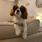 Susan Hedley - @x_suzzan_x - Instagram