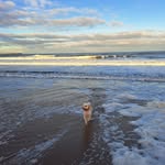 Susan Hedley - @hed.ley18 - Instagram