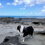 Susan Hedley - @hedley6984 - Instagram