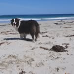 Susan Hedley - @hedley.sue - Instagram