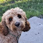 Susan MommaSue Hedley - @susanmommahedley - Instagram