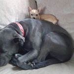 Susan Heeney - @susanheeney - Instagram